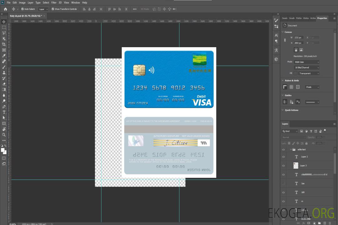 Carte de débit visa de la banque Norinchukin du Japon template Carte de débit visa de la banque Norinchukin du Japon template